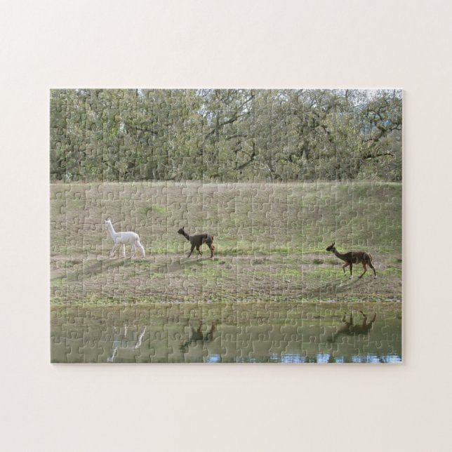 Rompecabezas - Reflexiones Alpaca (Horizontal)