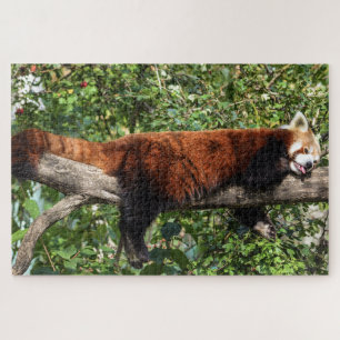 rompecabezas rojo de panda