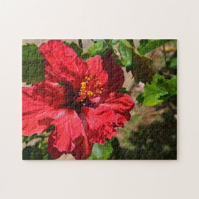 Rompecabezas rojo hibiscus (Horizontal)