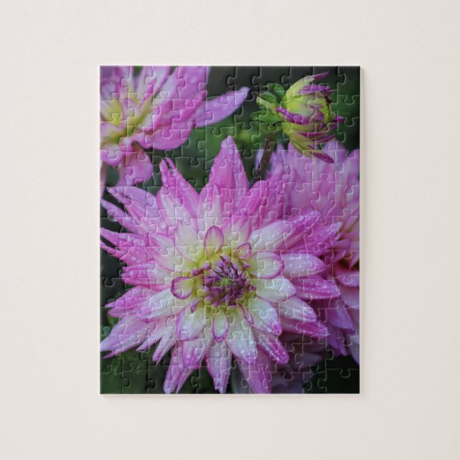 Rompecabezas rosa de Dahlia (Vertical)