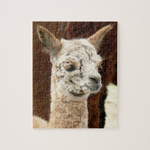 Rompecabezas Rosa de la alpaca