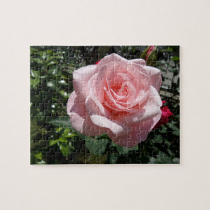 Rompecabezas rosa de Rose Jigsaw