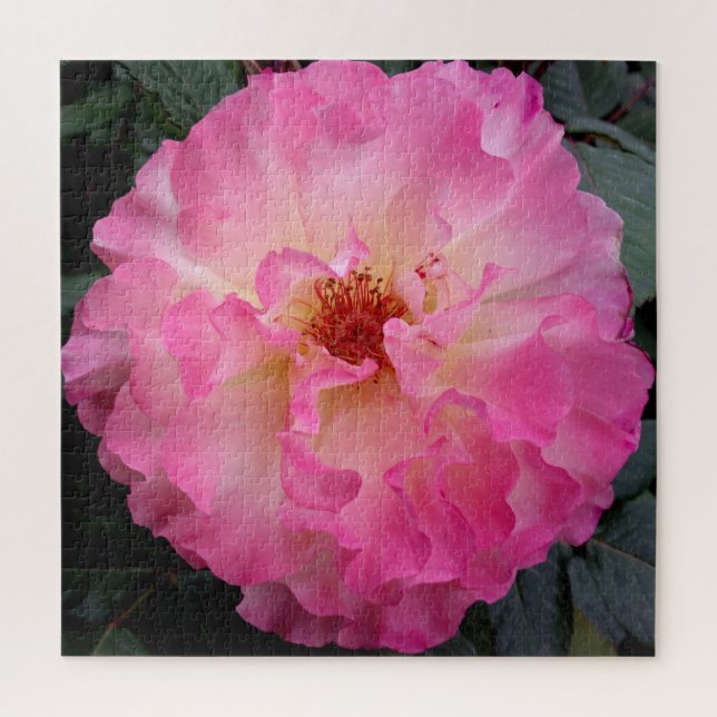 Rompecabezas rosa de Rose Jigsaw (Vertical)