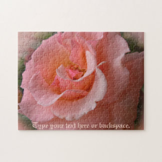 Rompecabezas Rosa silvestre Rosa de melocotón pers