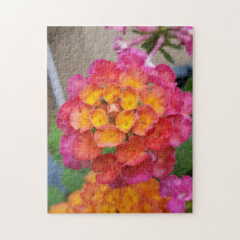 Rompecabezas rosa y amarillo de Lantana