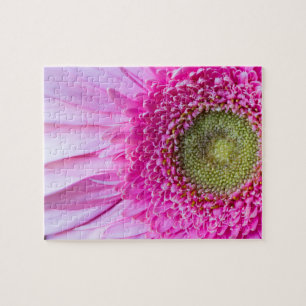 Rompecabezas rosado de la margarita del Gerbera