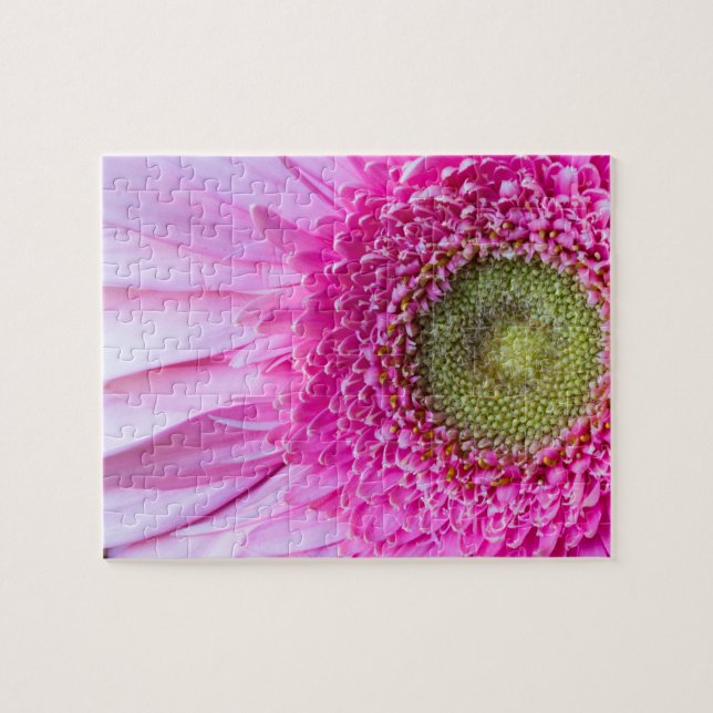 Rompecabezas rosado de la margarita del Gerbera (Horizontal)