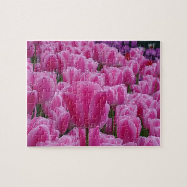 Rompecabezas rosado de los tulipanes (Horizontal)
