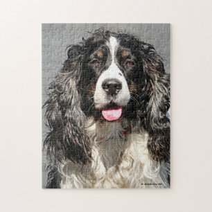 Rompecabezas salvadas de Springer Spaniel Dog Jigs