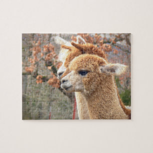 Rompecabezas Sarah de la alpaca