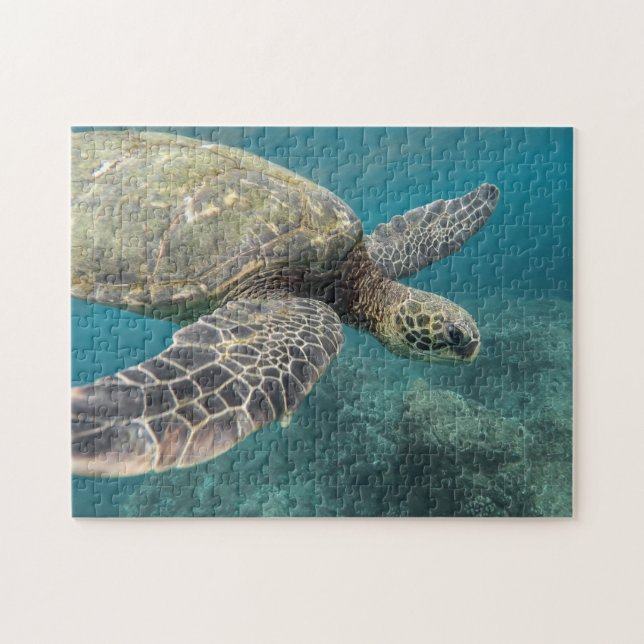 Rompecabezas Tortuga Marina (Horizontal)