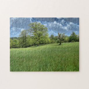 Rompecabezas Verde Apalache