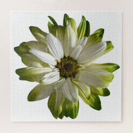 Rompecabezas verde de Daisy Jigsaw