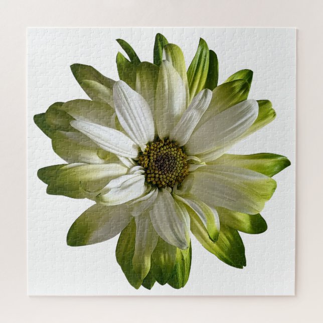 Rompecabezas verde de Daisy Jigsaw (Horizontal)