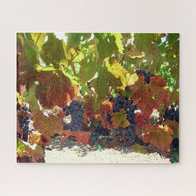 Rompecabezas - Vinos de uva (Horizontal)