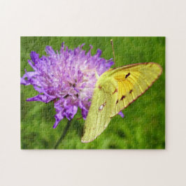 Rompecabezas y caja de regalo de la mariposa amari