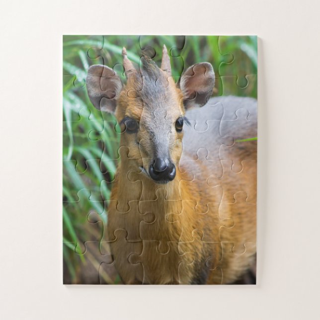 Rompecabezas zoológico infantil con animales (Vertical)