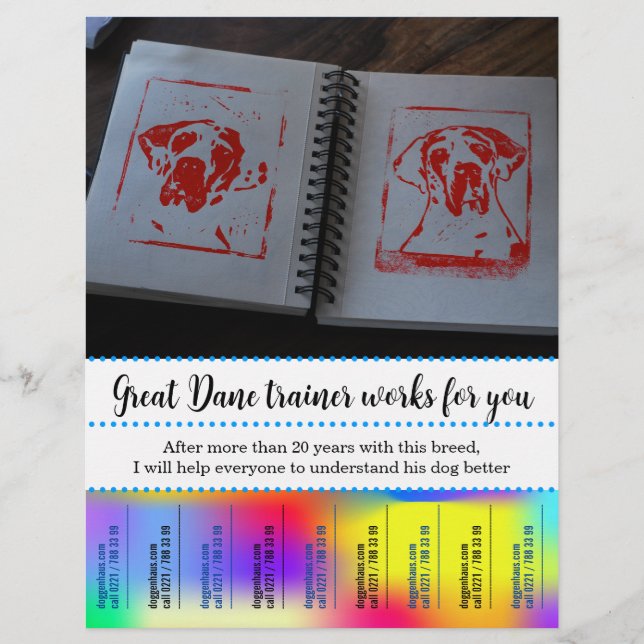 Romper folleto colorido (Frente)