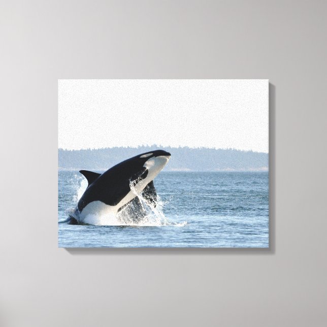 Rompiendo la impresión de lienzo de Orca (Anverso)