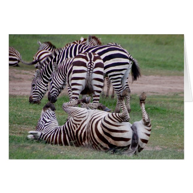 Rompiendo sobre (Anverso (Horizontal))