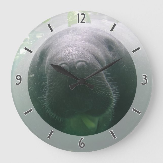 Ronda grande del reloj descuidado del Manatee (Anverso)