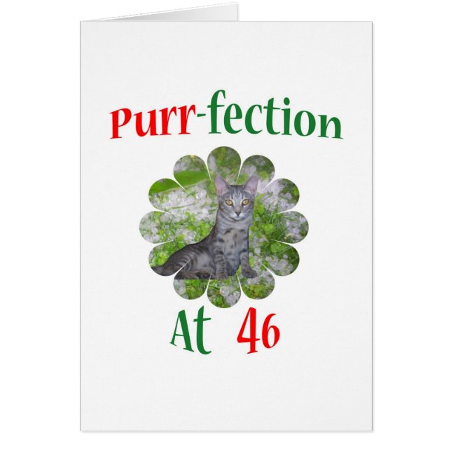 Ronroneo-fection 46 (Frente)