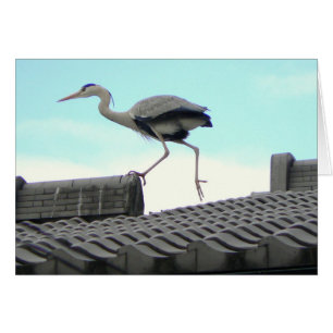 Roof Runner