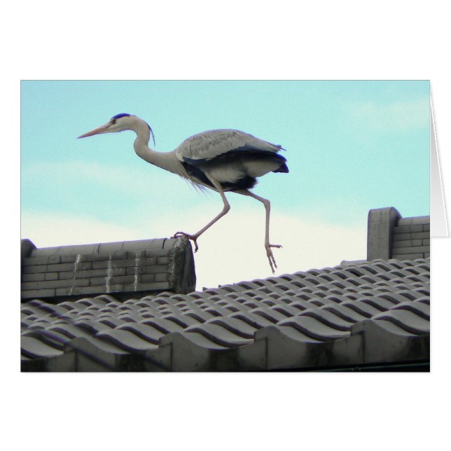 Roof Runner (Anverso (Horizontal))