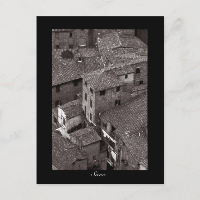 Rooftops de Siena | Tarjeta postal (Anverso)