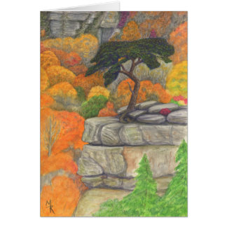 Roost de Buzzard - Cae el parque estatal del Creek