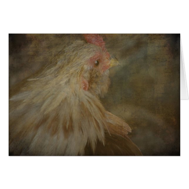 Rooster (Anverso (Horizontal))
