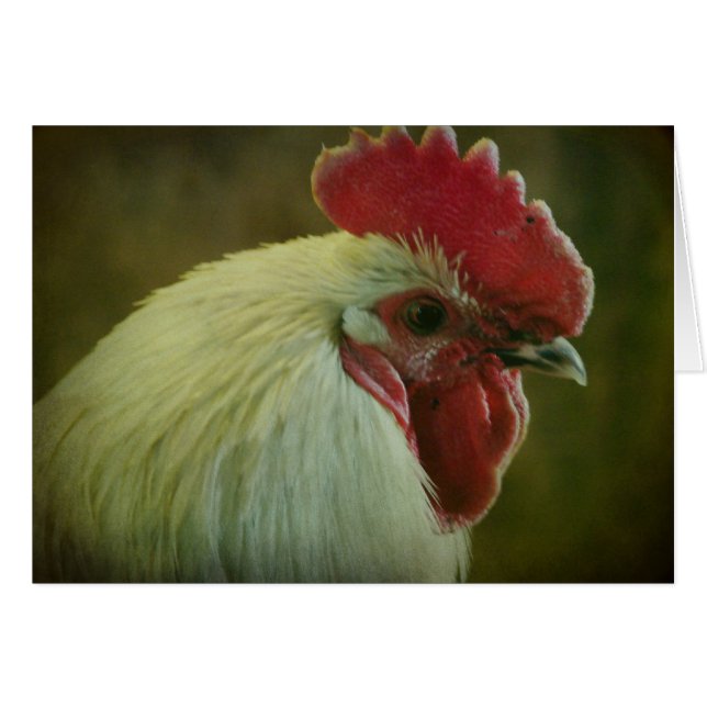 Rooster 2 (Anverso (Horizontal))