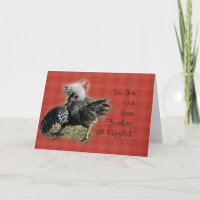 Rooster con tarjeta de mala actitud- para cualquie