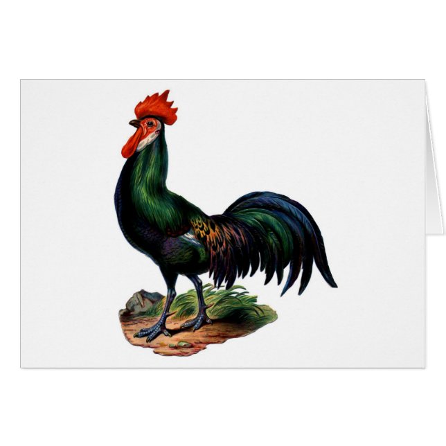 Rooster de antigüedades verdes para plumas (Anverso (Horizontal))