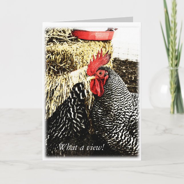 Rooster + Hen Tail, Tarjeta de felicitación divert (Anverso)