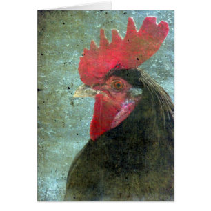 Rooster Lakenvelder Con Textura