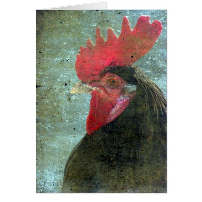 Rooster Lakenvelder Con Textura (Frente)