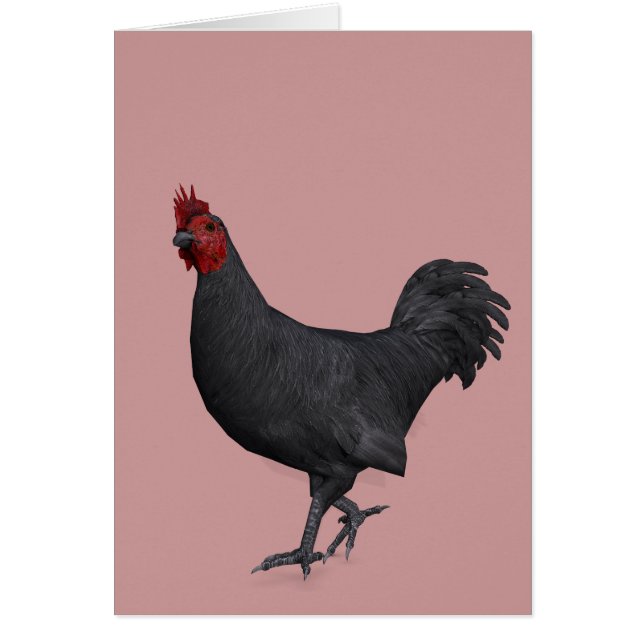 Rooster negro (Frente)