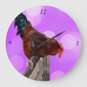Rooster Nosy Parker, Gran Reloj De Pared Rosa.