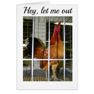 ¡ROOSTER QUIERE DECIRTE SUS DESEOS DE CUMPLEAÑOS P