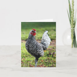 Rooster, tarjeta en blanco