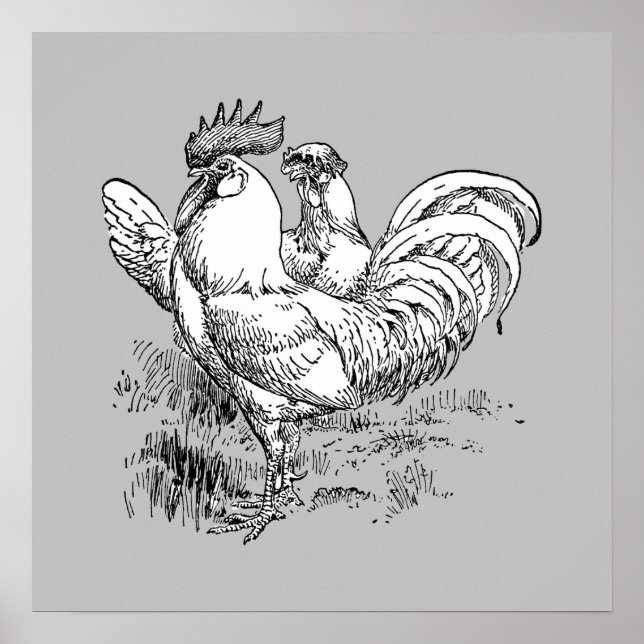 Rooster Y Hen - Impresión De Archivos (Frente)