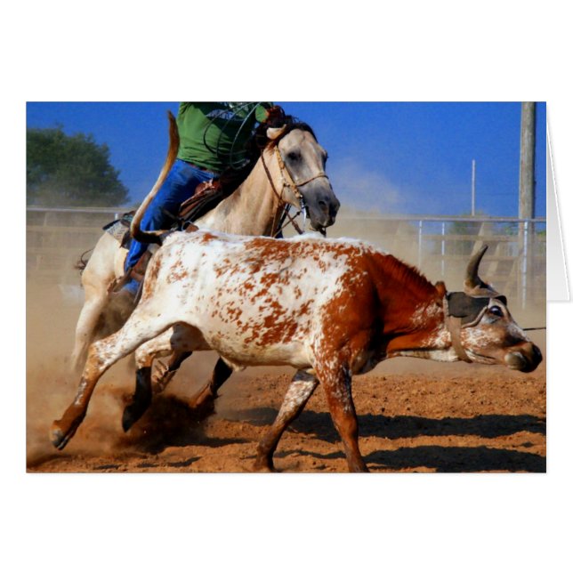 Ropa (Anverso (Horizontal))