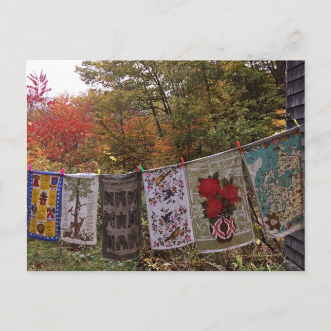 Ropa de venado de postales Nº 2 (Anverso)