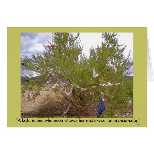 Ropa interior no deseada (Anverso (Horizontal))