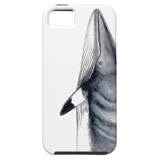 Rorcual aliblanco carcasa móvil, minke whale case