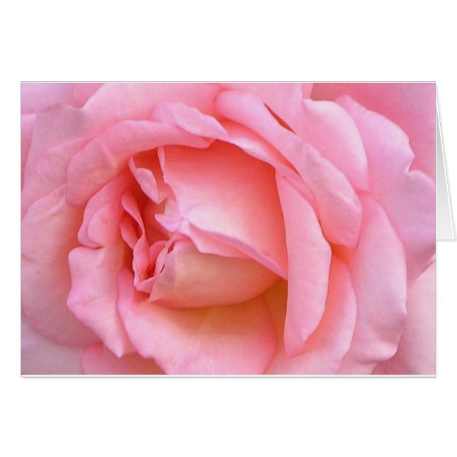 ROSA (Anverso (Horizontal))