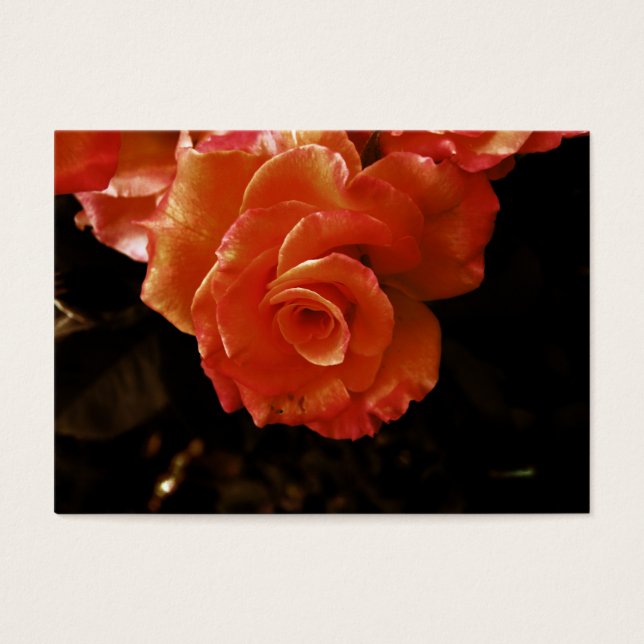 rosa (Frente)