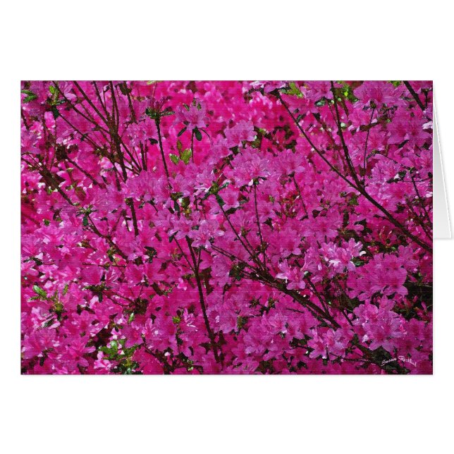 Rosa! (Anverso (Horizontal))