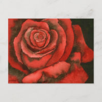 Rosa 3 postal